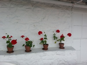 Some cheery geraniums along the wall of the Officers' Quarters